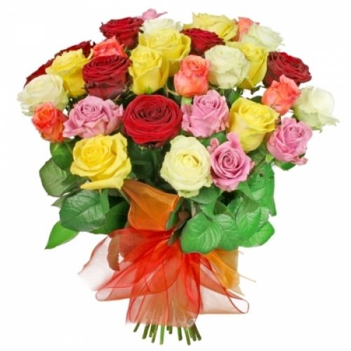 35 разноцветных роз с доставкой по Аниве