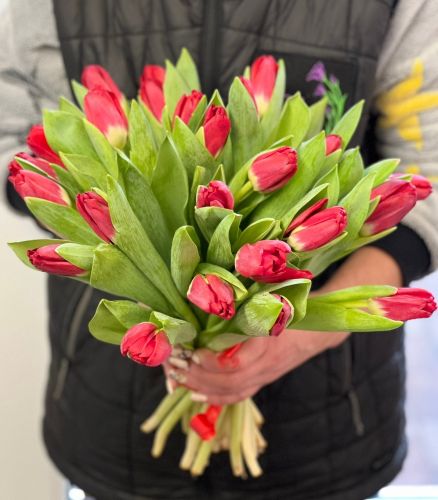 Купить букет из красных тюльпанов "Сабрина" с доставкой по Аниве